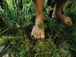 Grounding/Earthing. Dirty feet for health